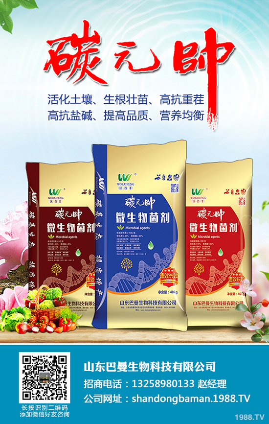     尿素價格小幅度變動！12月24日各地區(qū)尿素主流出廠報價！