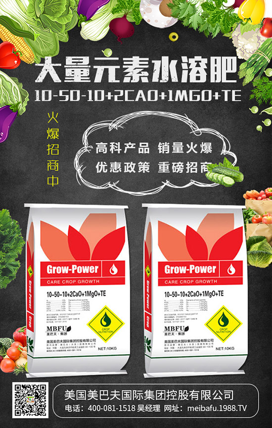     2019���������@��������r��C�Ϸ��������