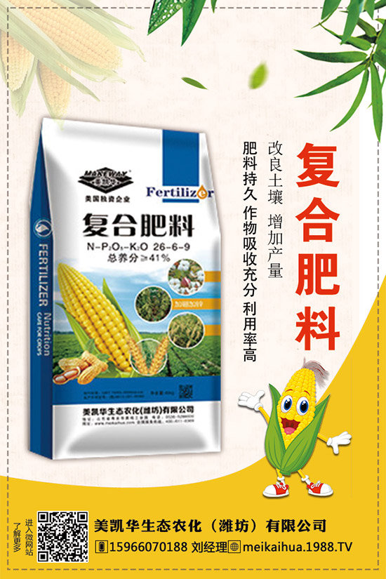     2019�������һ�@��������r��C�Ϸ��������