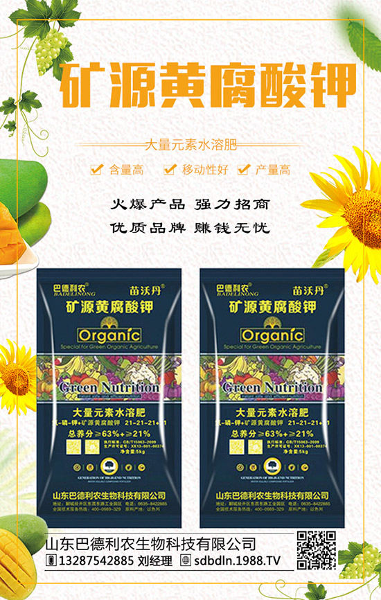     ��(f��)�Ϸ�����q�����F(xi��n)��2019��12��ĩ���r(ji��)���߄�(sh��)�A(y��)�y(c��)��