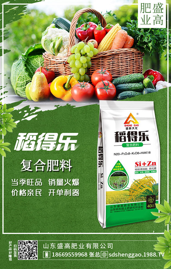     �ֲ��؅^(q��)���������»���12��25�Շ�(gu��)��(n��i)���؃r(ji��)���߄�(sh��)���������u(p��ng)��