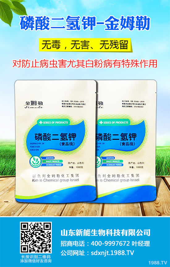 魔芋價(jià)格多少錢一斤?2020年魔芋種植的市場(chǎng)行情