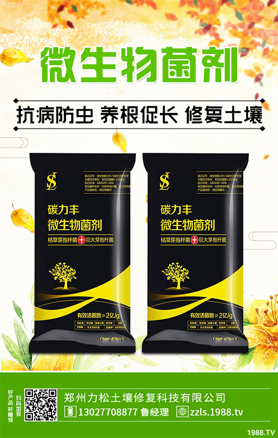 天麻該怎么種植?天麻的環(huán)境要求及種植技巧