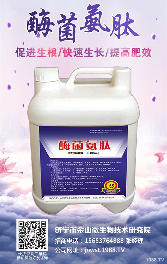 �r(n��ng)����ʺ�����ô�l(f��)���ģ�ʩ������α���ʺ��l(f��)����