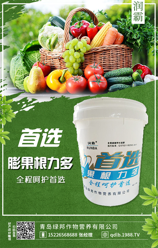 枇杷樹嫁接與不嫁接有區(qū)別嗎？枇杷樹的播種繁殖！