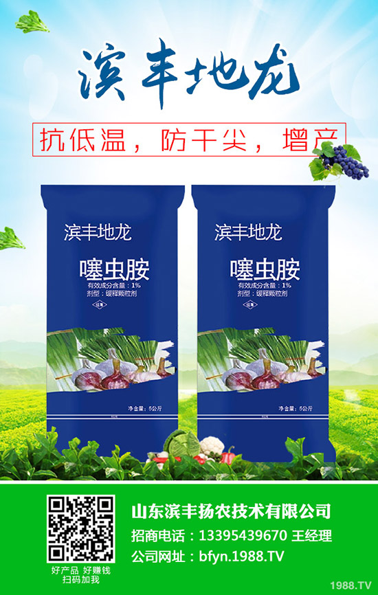     2020年早春玉米適合種植品種？如何育苗？春玉米育苗移栽技術(shù)！