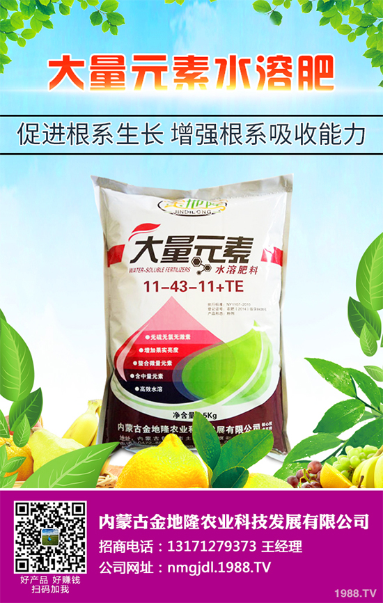 降雪過(guò)后，蔬菜大棚你知道該怎么管理嗎？