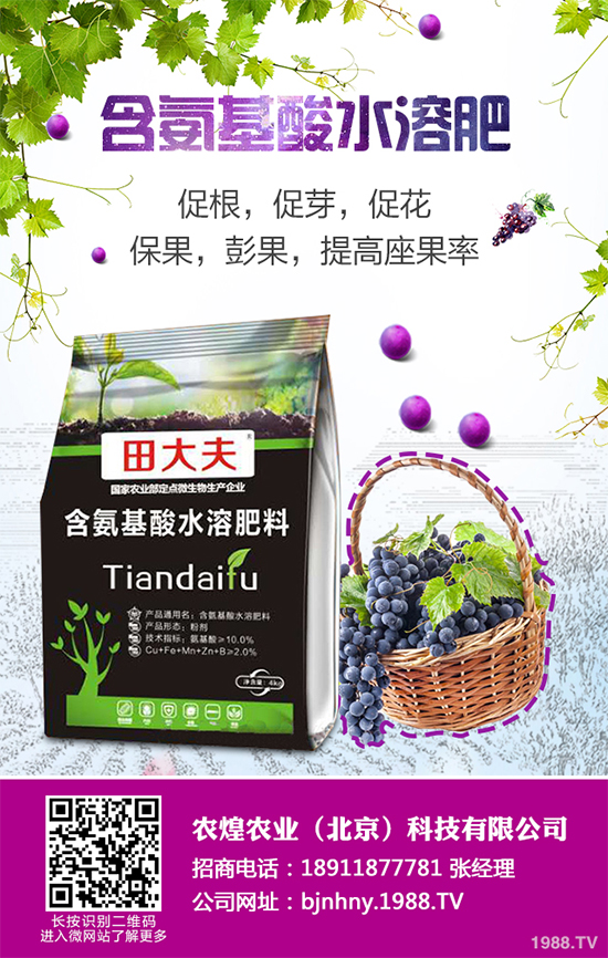 降雪過(guò)后，蔬菜大棚你知道該怎么管理嗎？