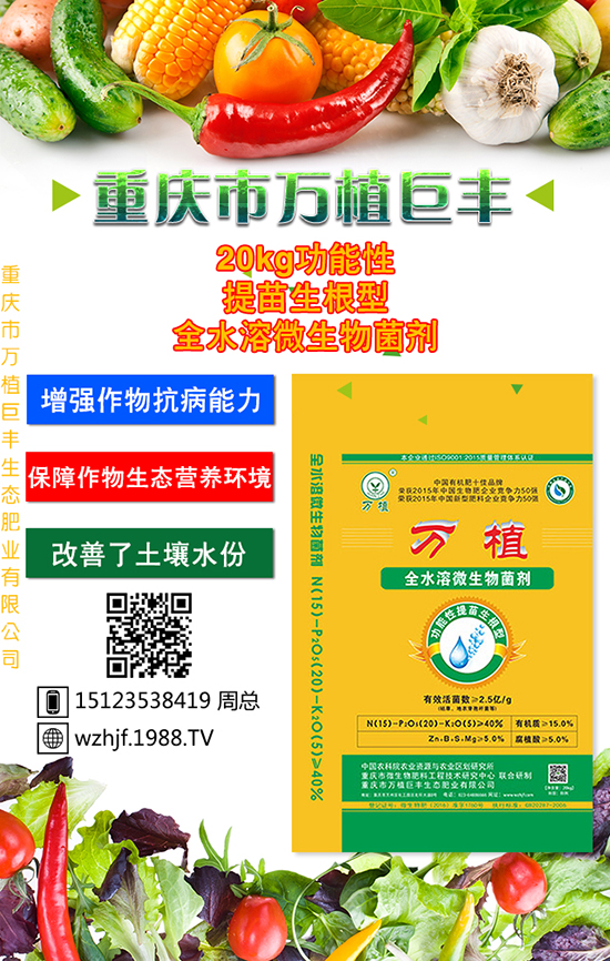 �o�O��̫�O��̫�O���Ƀx��������ʩ��Ҳ���������ˡ�