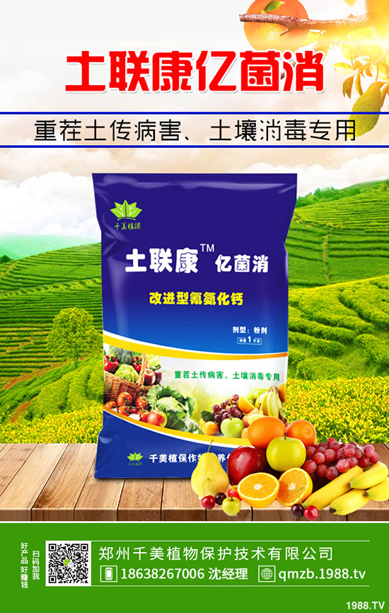     2020���؃r(ji��)�������������(hu��)�qô��12��30�ո��؅^(q��)�����������S��(b��o)�r(ji��)��