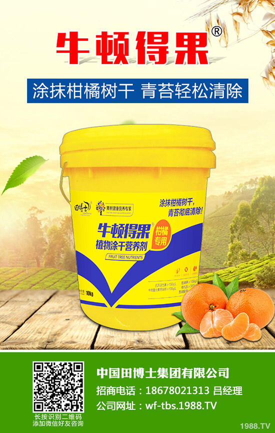 2020種草莓賺錢(qián)嗎？草莓種植的成本及前景預(yù)測(cè)！