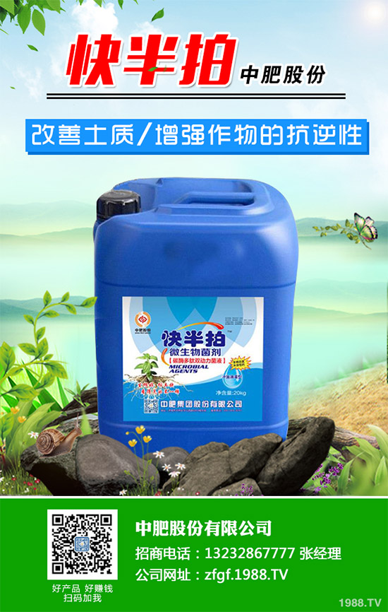 金線蓮該如何種植？金線蓮的種植及養(yǎng)管理