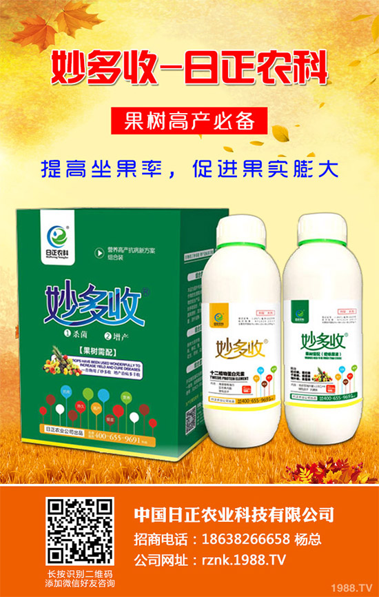 金線蓮該如何種植？金線蓮的種植及養(yǎng)管理