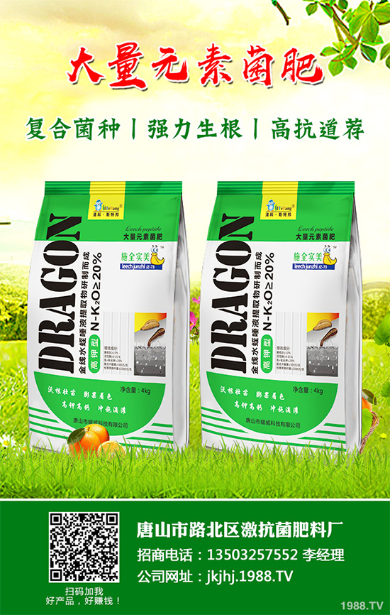 ������۲�����ЩΣ����ԓ��η����������������