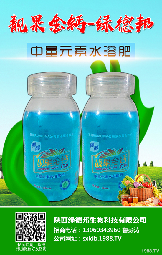 盆栽蔬菜有哪些品種?盆栽蔬菜的種植條件和注意事項(xiàng)