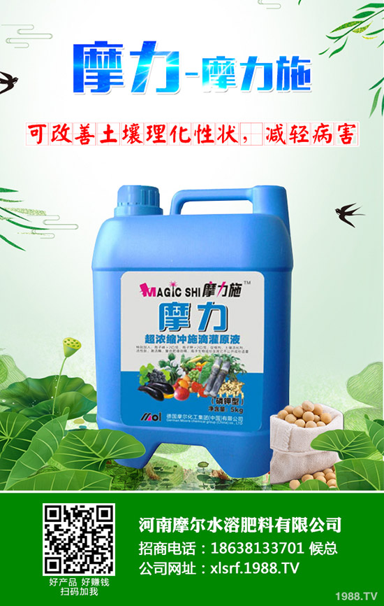 �����ʲô���Ϻ������ʩ�ʼ��g(sh��)����Щ��