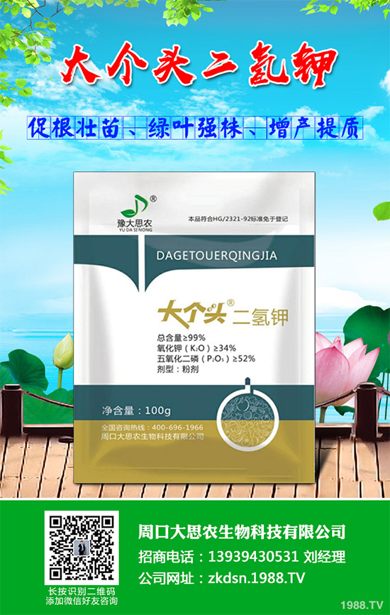 洋薊該如何種植？洋薊高產(chǎn)種植技術(shù)方案