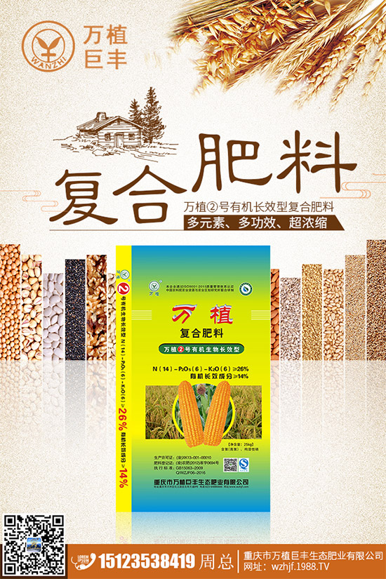 洋薊該如何種植？洋薊高產(chǎn)種植技術(shù)方案