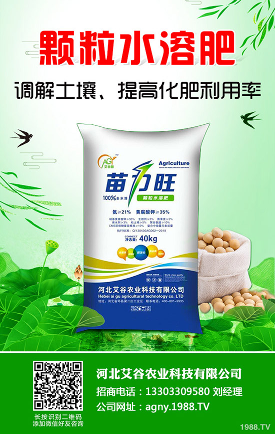 西瓜種植要高產,不可不看這一篇!全面實用