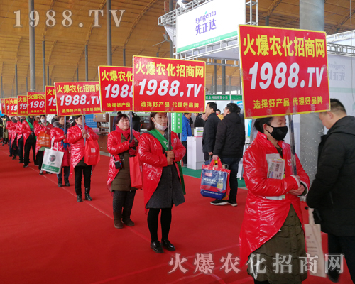     2019��30�úӱ�ֲ����(hu��)�����r(n��ng)���W(w��ng)Ҋ�C�ИI(y��)ʢ��(hu��)�ل�(chu��ng)�ѿ���