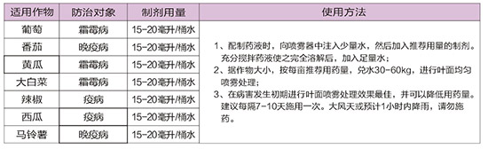 40%ϩ������˪��-�A��˪��-�A������3