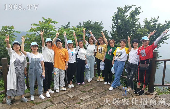 ������������P�tɫ����