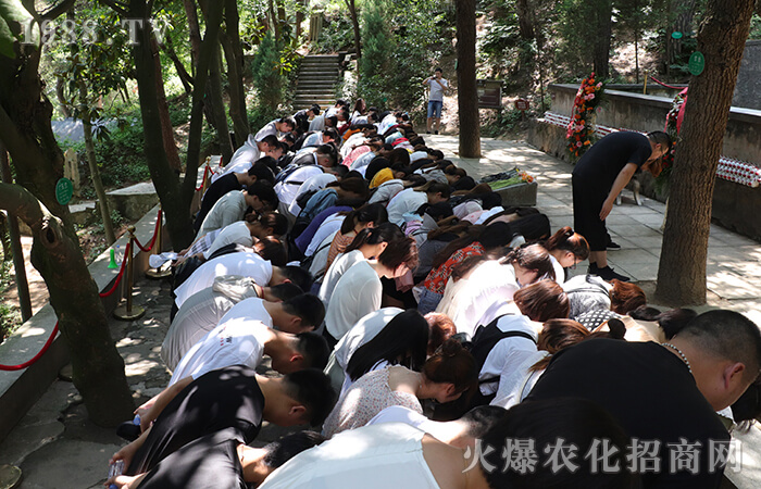 �������������һ�ӵľ�����һ�ӵ�ɽ����һ�ӵļtɫ֮����