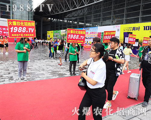     2019�����r(n��ng)�Y��(hu��)��1988.TV�đ�(zh��n)ʿ�ó������[�Լ�