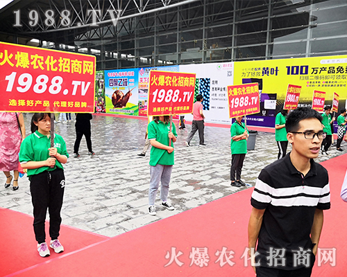     ���r(n��ng)�����̾W(w��ng)��2019�����r(n��ng)�Y��(hu��)�����G�ؼ����ի@�M�M