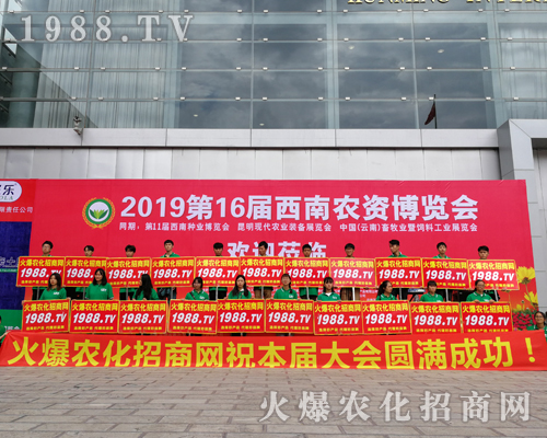     2019�����r�Y���[�������r���W�������o̎����