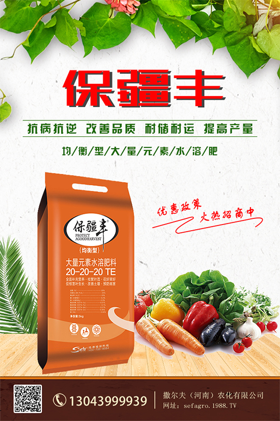 ���؃r����m(x��)�»������վֲ��^(q��)�������Ј�����2019��8��13��