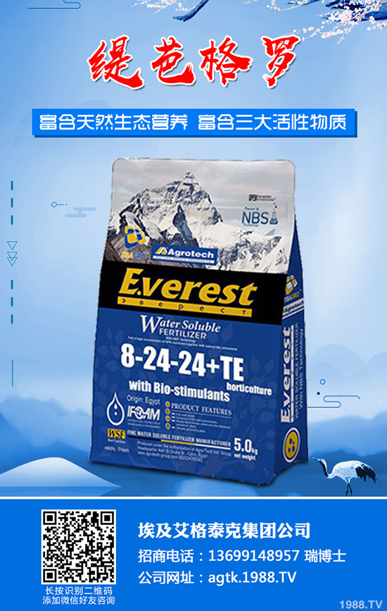 ����ʲô�r(sh��)�g���磿�������緽��