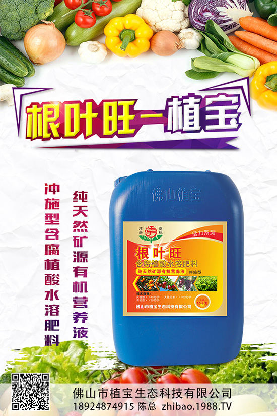 秋蘿卜什么時候種?該怎么種?2019秋蘿卜種植管理方案