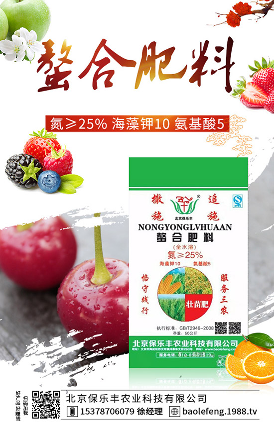 陽臺番茄怎么種？陽臺番茄種植方法 