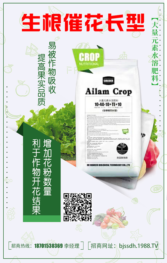 豌豆什么時間種植？豌豆高產(chǎn)種植技術要點有哪些？