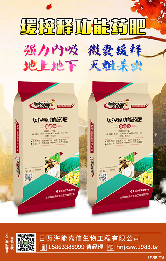 �۲�ԓ��ηNֲ��ע��Щʲô���۲˸߮a�Nֲ����