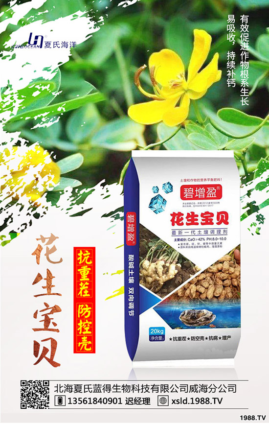 ���{���Nǰ����������{���߮a(ch��n)�NֲҪ�c��