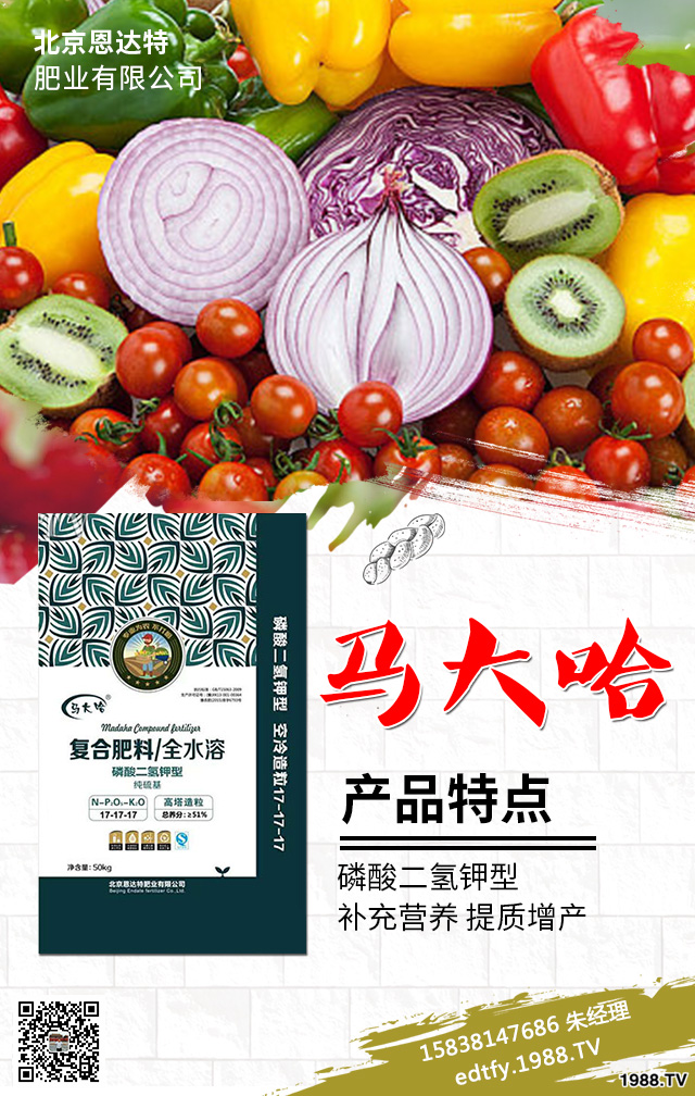 大棚蔬菜施肥中存在哪些問(wèn)題？大棚蔬菜種植技術(shù)