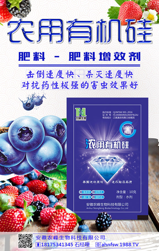 枸杞得了炭疽病怎么辦？枸杞炭疽病危害及防治方法！