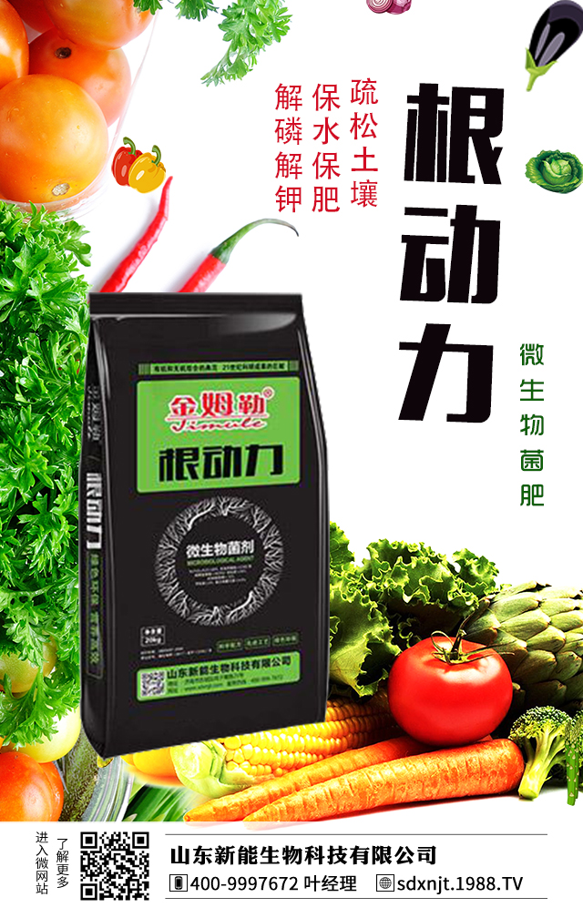 馬鈴薯需肥量大，如何給馬鈴薯施肥？