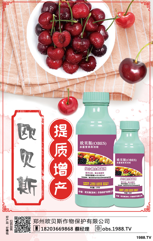 ��������ηNֲ������������༼�g(sh��)