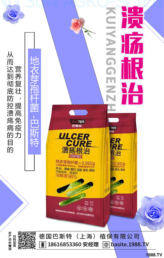 ������һ���Ǽ�(x��)���Բ��������e���e����Ƚ���������������ɷ����Ν�������