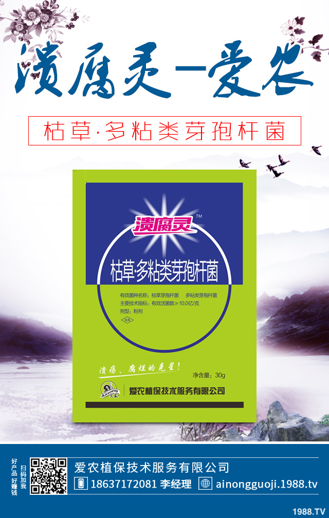 大白菜病害怎么防治？秋播大白菜病害防治方法