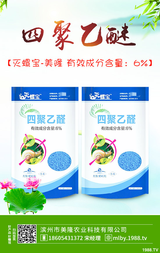 ����ԓ��ԓժ�~������ժ�~��β�����