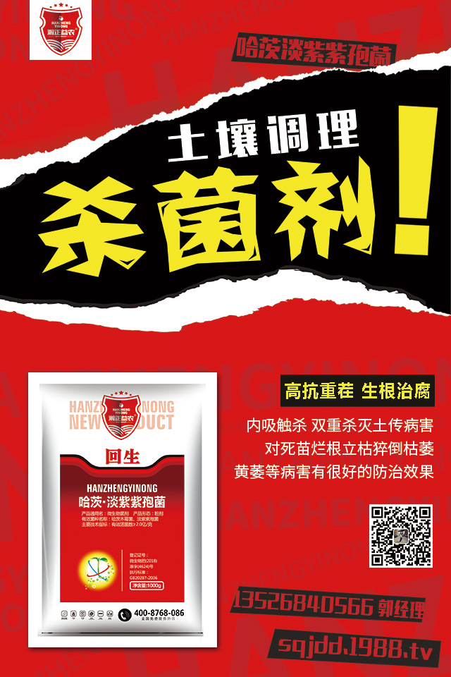 ��������������ô�k�����Ӽ޽ӿɱ�����������