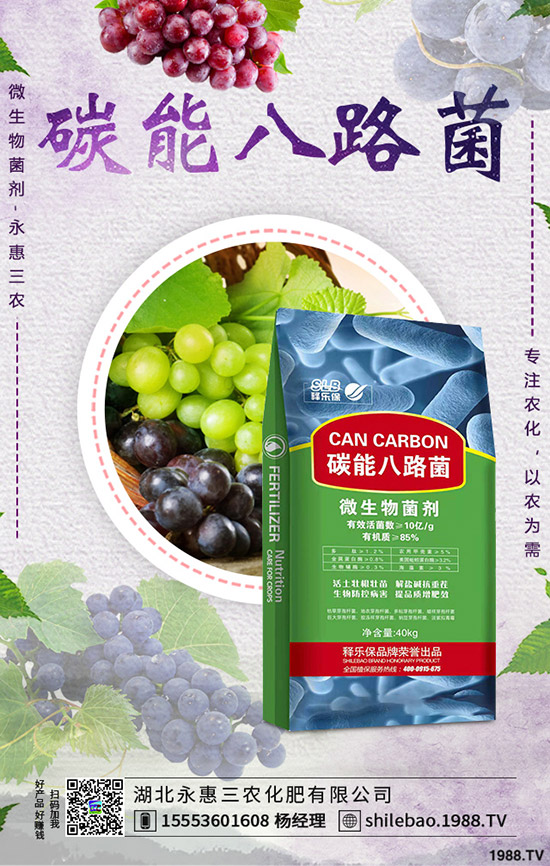     花菜什么時候種植合適？花菜種植時間及種植管理技術(shù)！