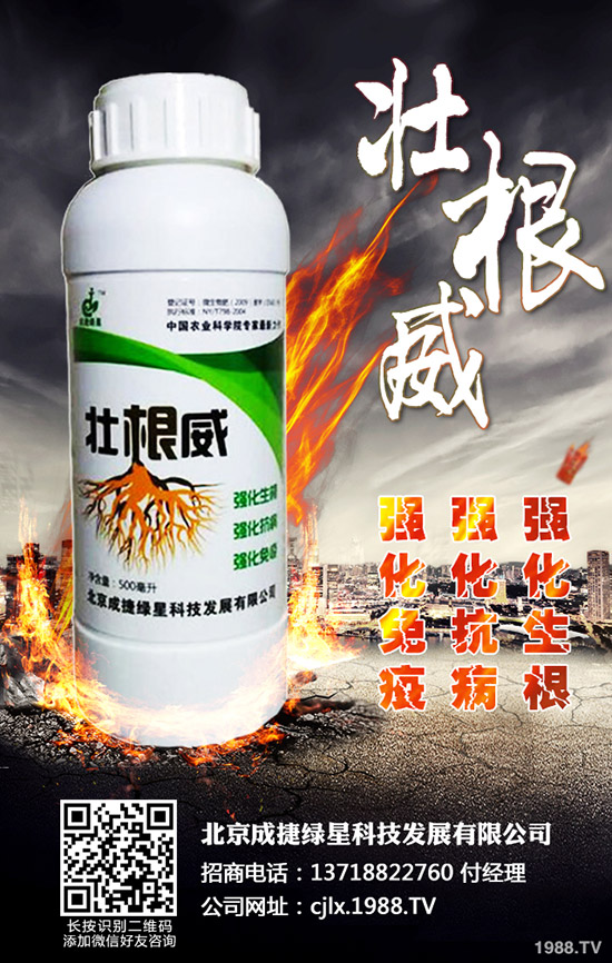 �ཷ�ķNֲ��������Щ���ཷ�Nֲ�^(gu��)������Ҫע��Ď״�(w��n)�}