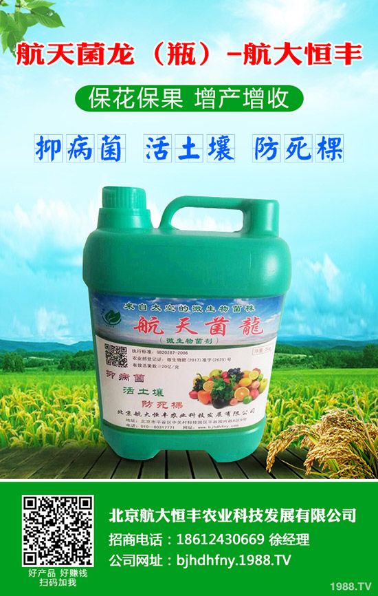 ���}��ʲô�r(sh��)��Nֲ�����}������Ҫ�c(di��n)��