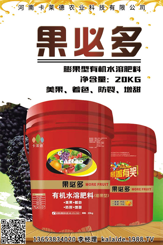 芥菜該怎么吃?常見芥菜吃法及注意事項(xiàng)