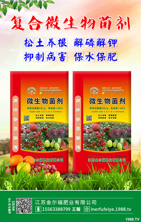 彩色花椰菜多少錢一斤?彩色花菜種植效益如何?